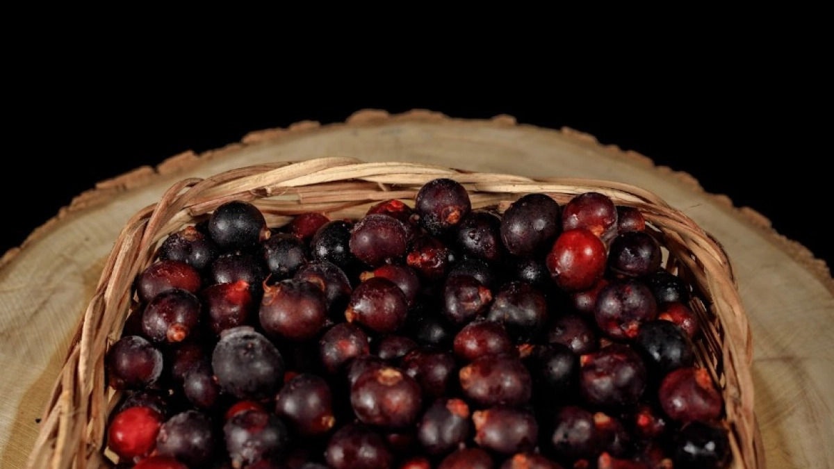 El reconocido fruto del Caribe que se usa en vinos, jugos y helados ahora queda protegido por primera vez con una resolución en Colombia