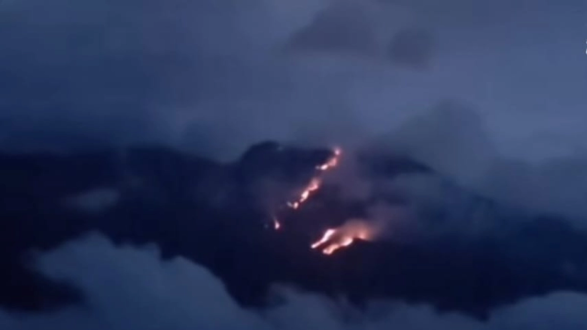 Voraz incendio pone en riesgo reserva forestal clave y las fuentes de agua de miles de habitantes en Nariño: impactantes imágenes del siniestro