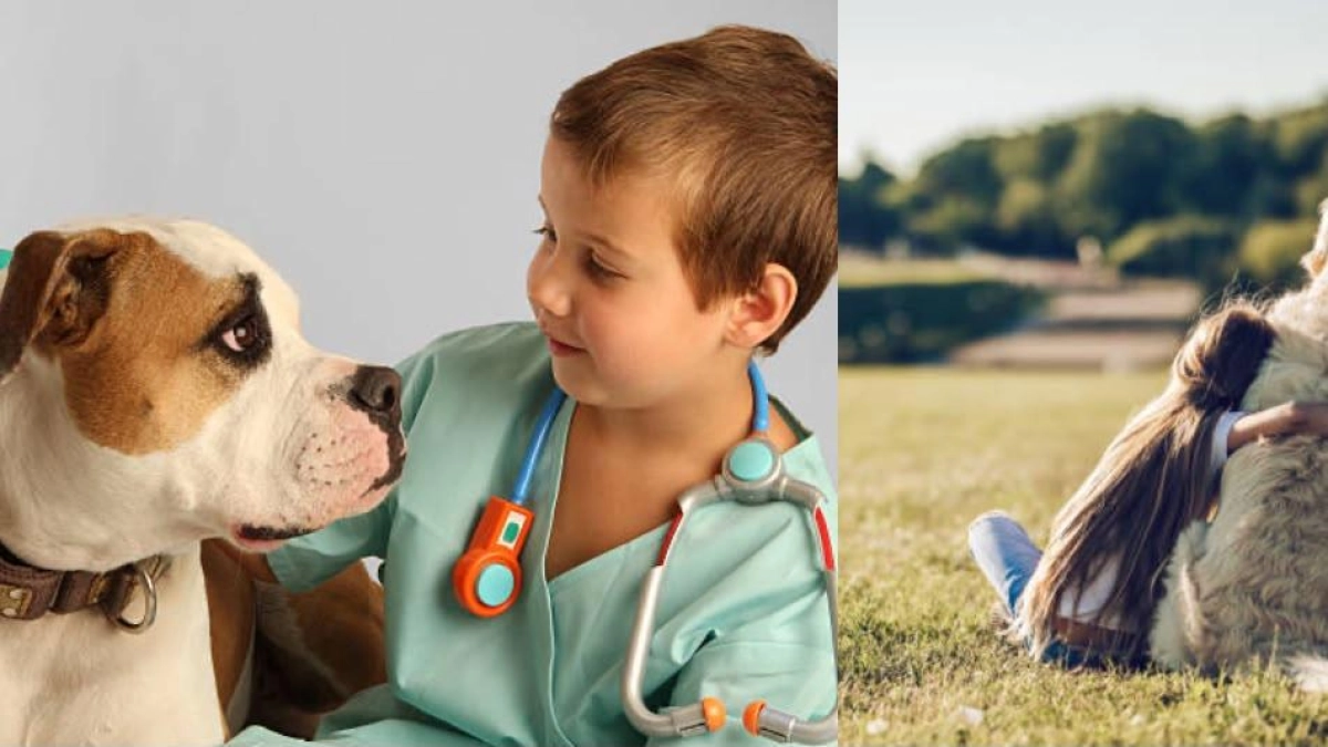 ¿Quiere ser veterinario por un día? Así es la iniciativa para aprender a cuidar animales rescatados en Manizales